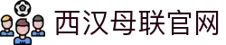 中国·必威(bw·西汉姆联)官方网站-West Ham United